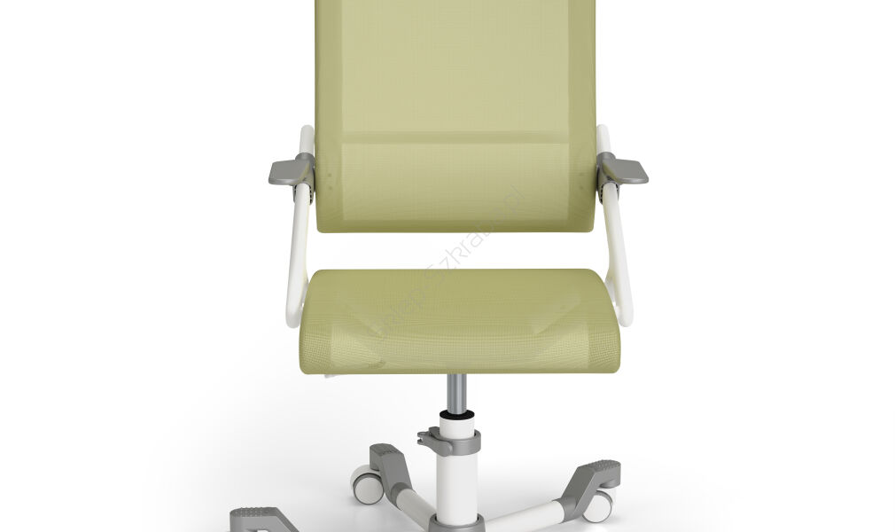 Krzesło PAIDI YPSO zielone (1479306)