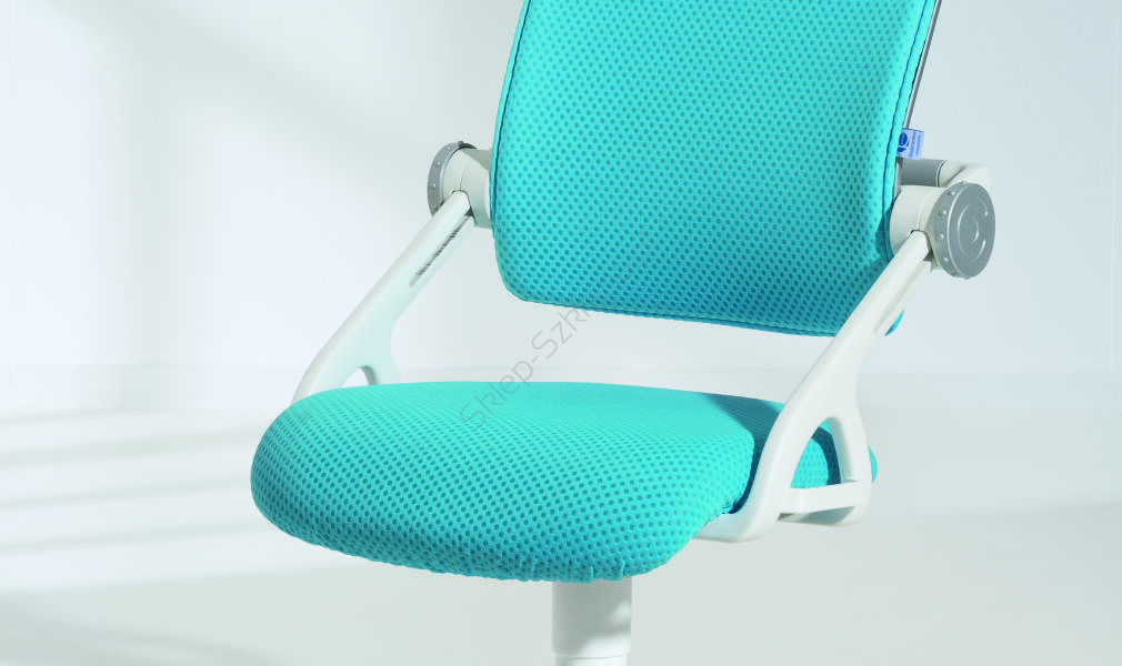 Krzesło PAIDI Yvo lazurowy/niebieski (1409208)